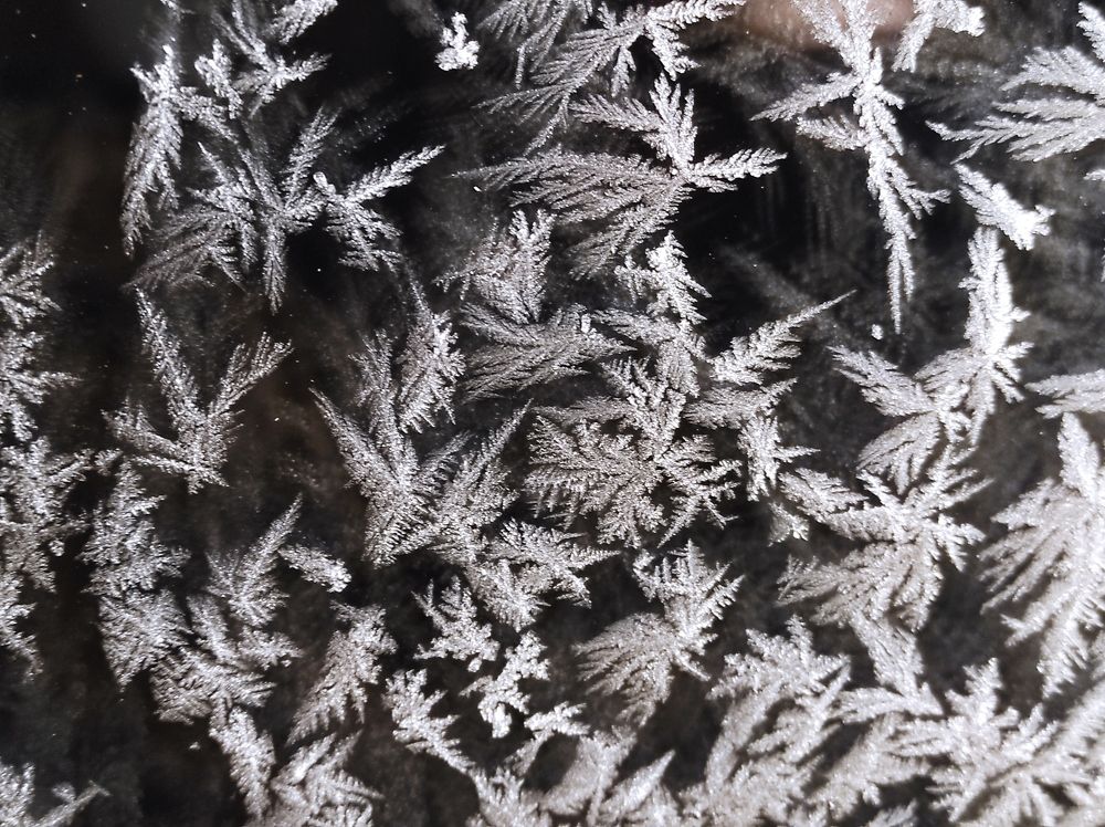 Photograph by Филатова