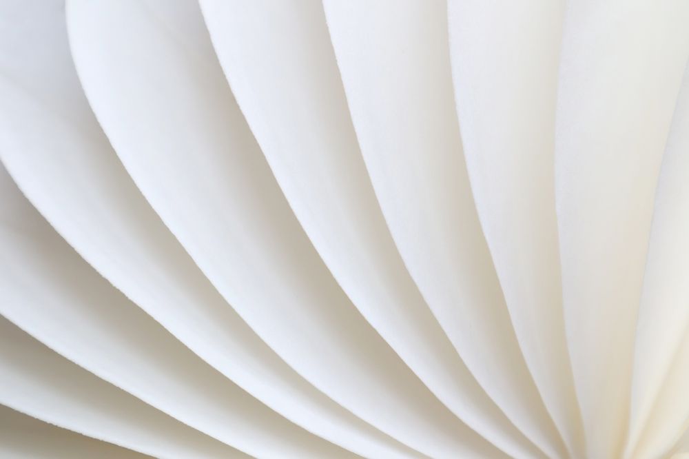 Photograph by Natalya Chumak