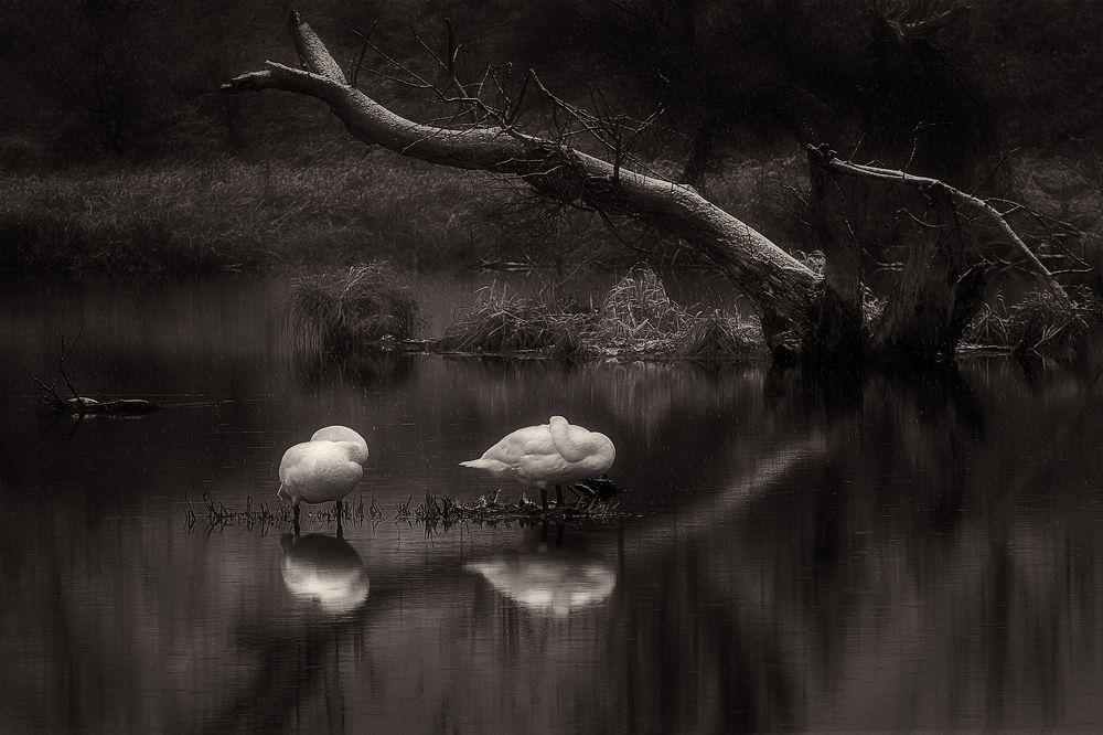 Photograph by Martin Kucera