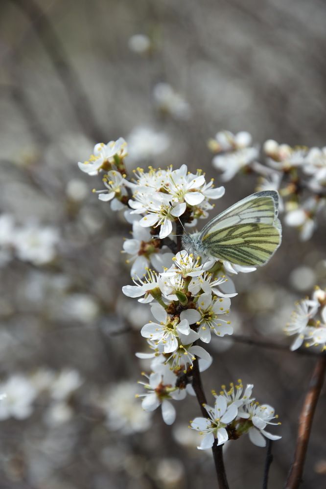 Photograph by Валерий Гудков