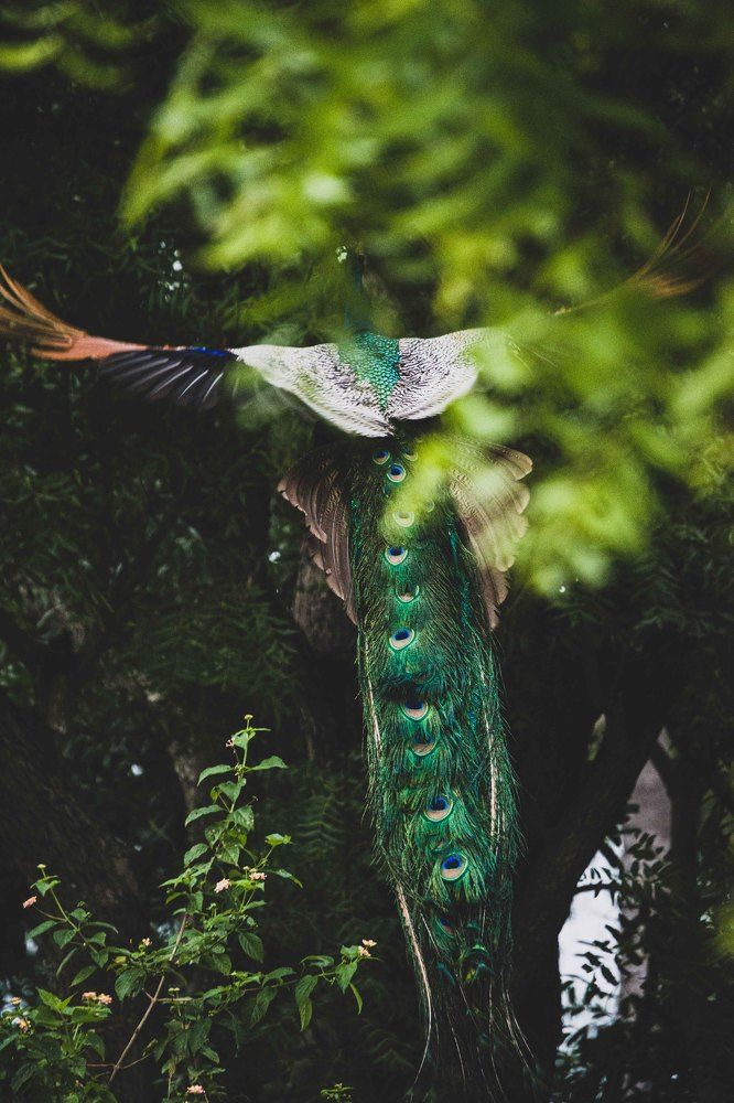 Photograph by Nusky Ahamed Rafeek