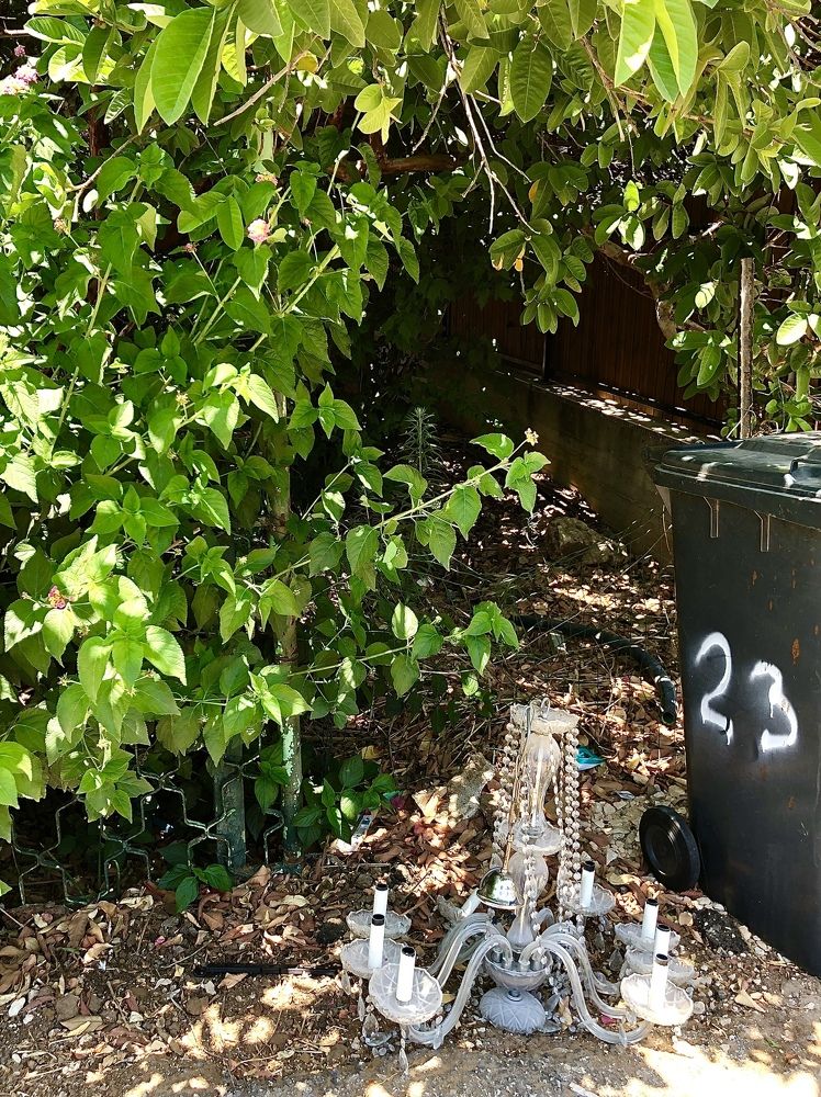 Photograph by Tania Litmanovich