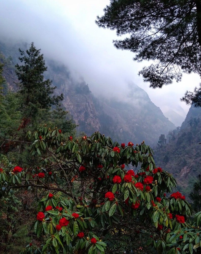 Photograph by Vladislav Lyukshin