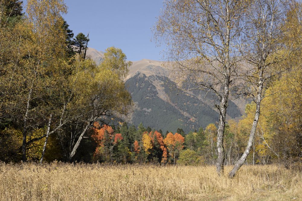 Photograph by Светлана Дегтярева