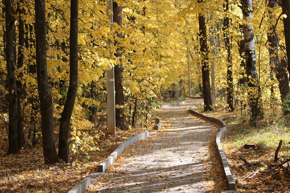 Photograph by Евгения Малафеева