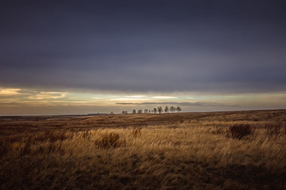 Photograph by Корнеевец Мария