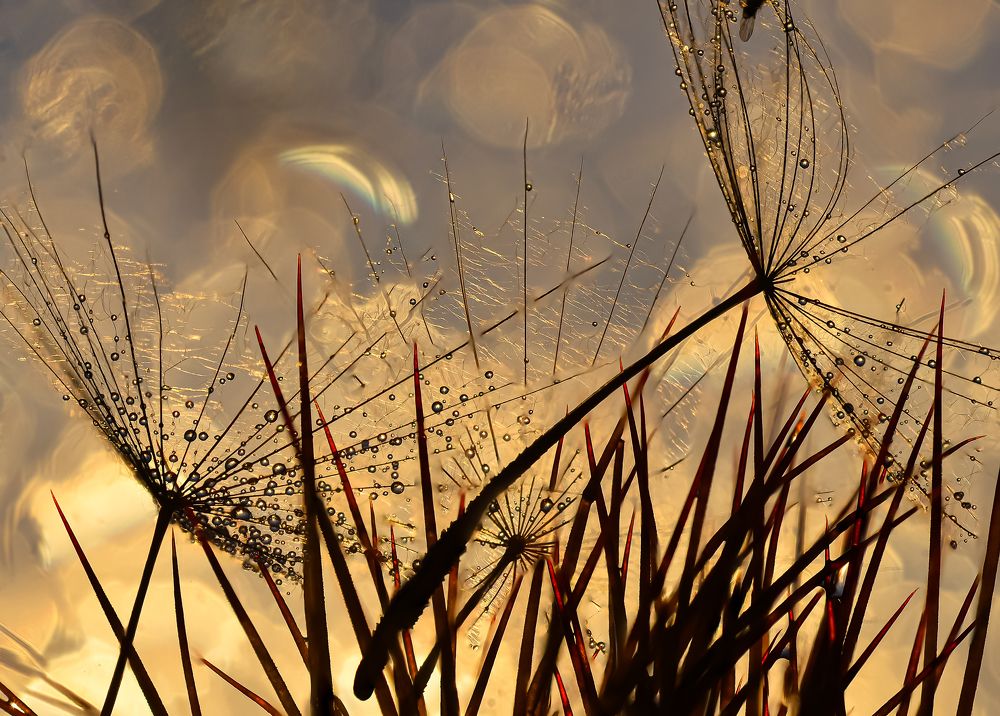 Photograph by Олег Урасов