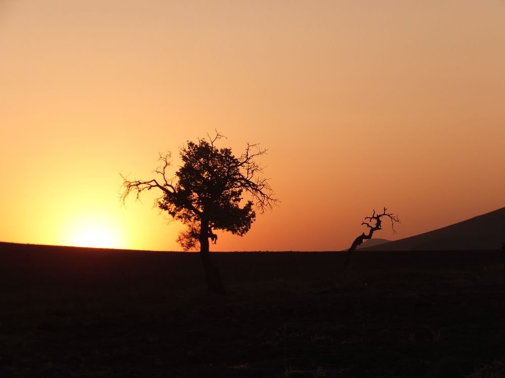 Фотография автора ako abdi
