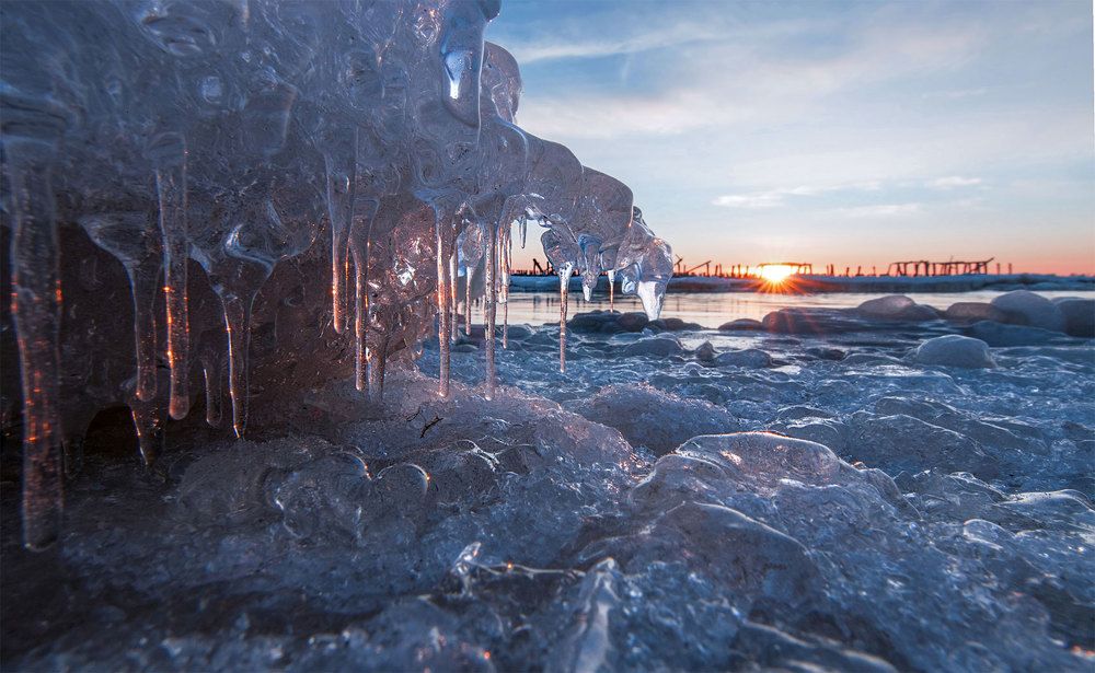 Photograph by Daiva Cirtautė