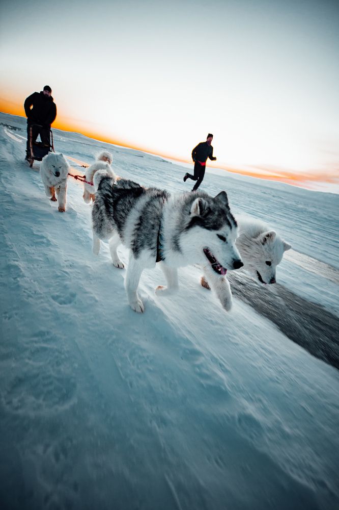 Photograph by Михаил Ермаков