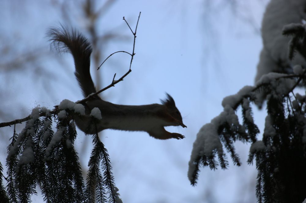 Photograph by Евгения Малафеева