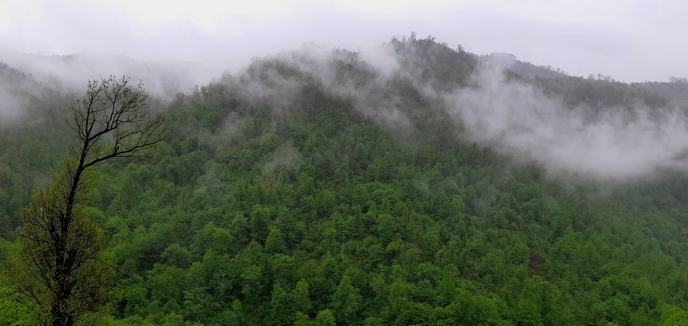 Photograph by Армине Унанян