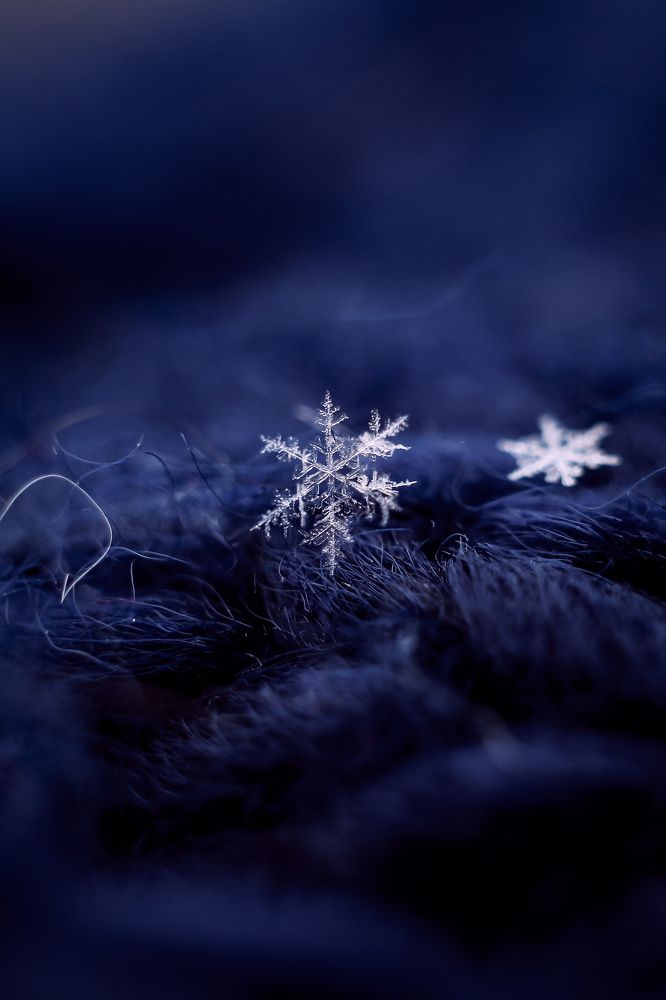 Photograph by Анна Зенкина