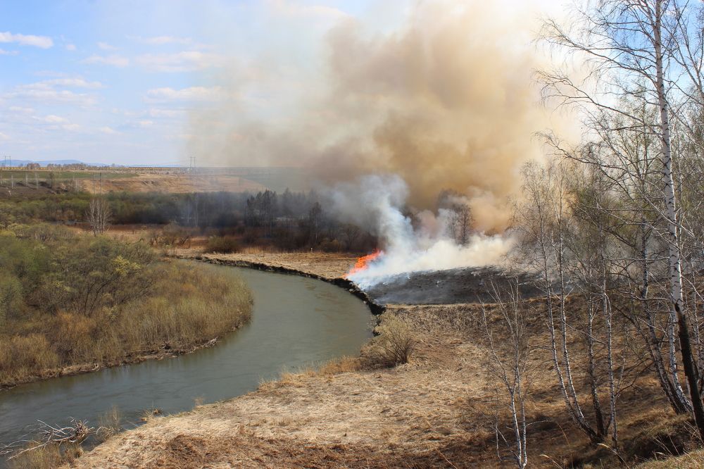 Photograph by Наталья Юрова