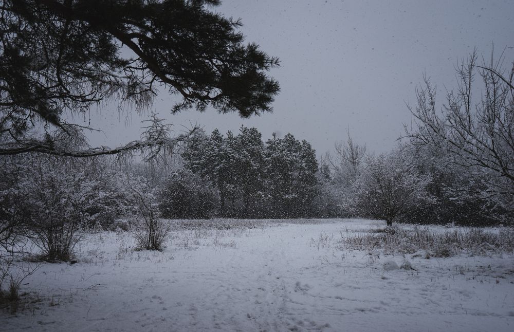 Photograph by Виктор Зотов