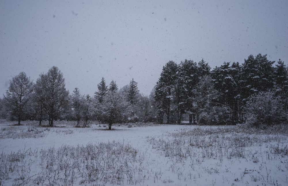 Photograph by Виктор Зотов