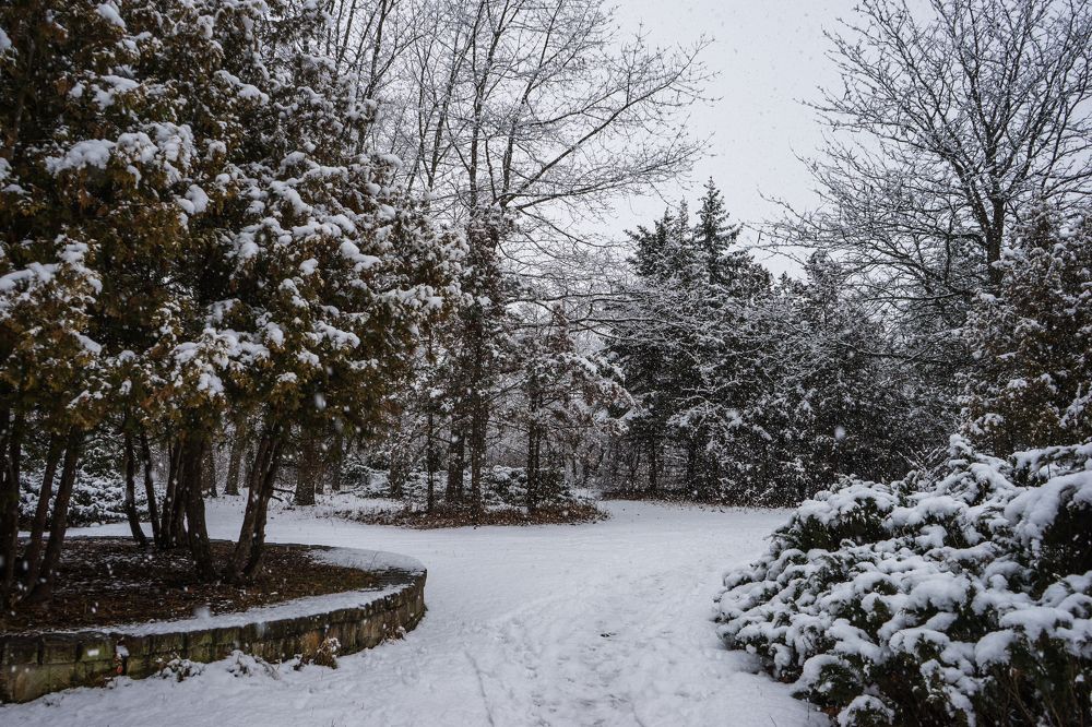 Photograph by Виктор Зотов