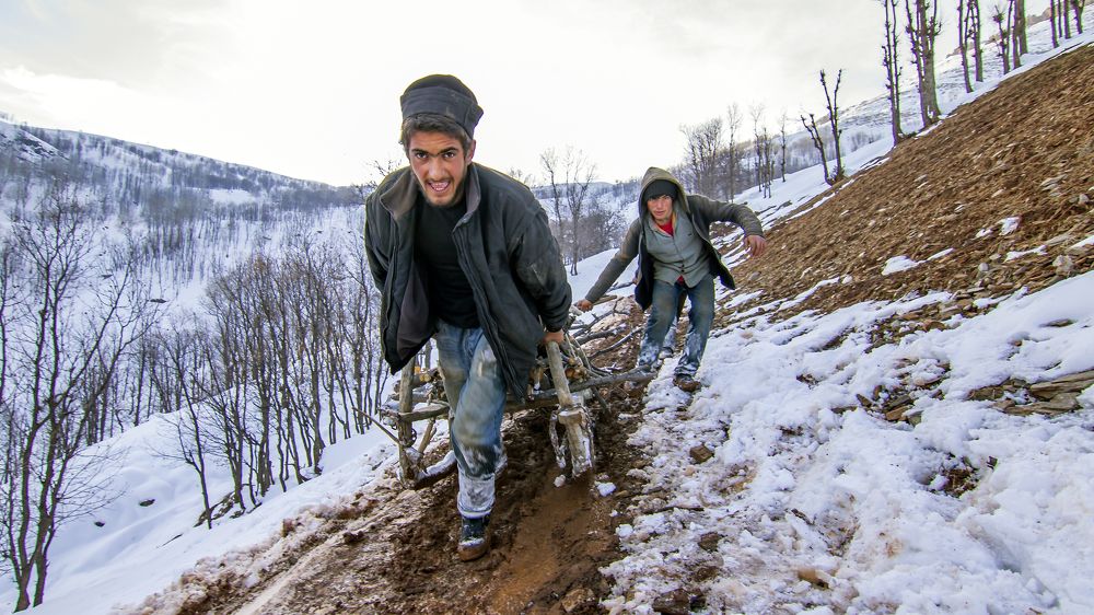 Photograph by Mehmet Can ALKAS