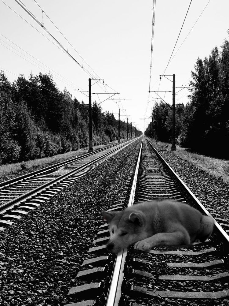 Photograph by Anastasiia Isakova