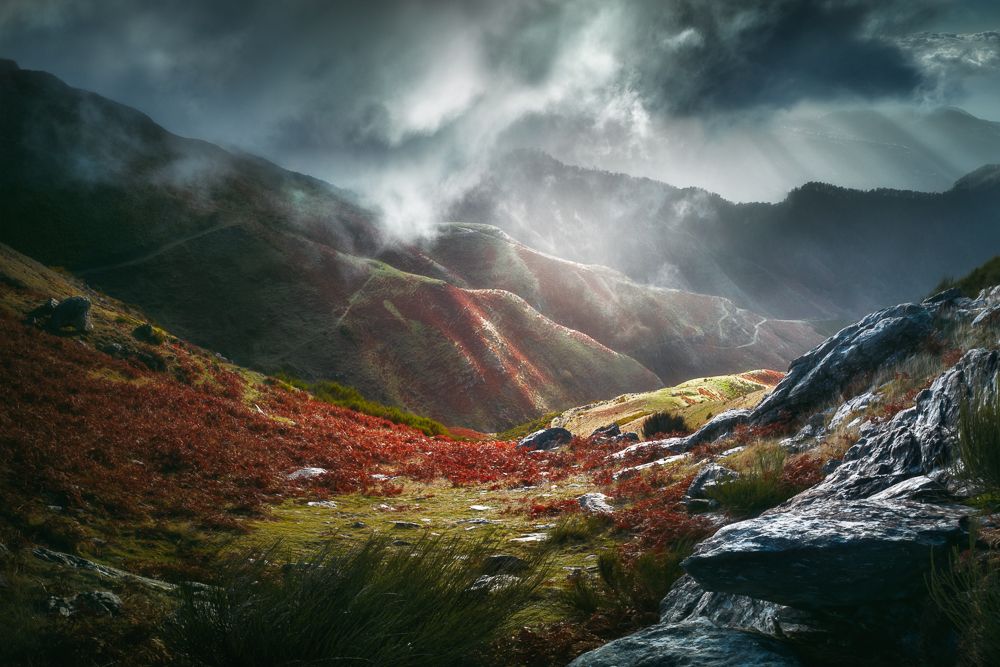 Фотография автора Tomas Havel