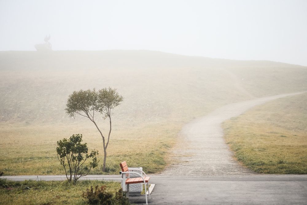 Photograph by Анна Зенкина