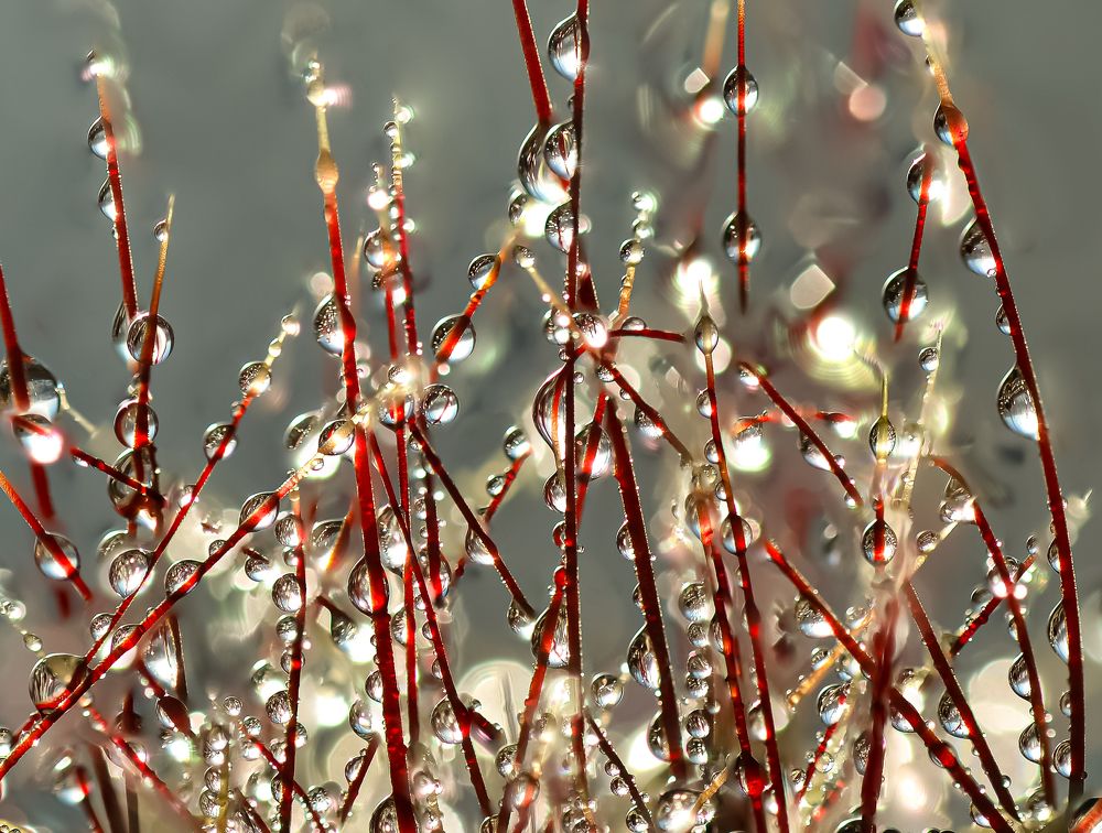 Photograph by Олег Урасов