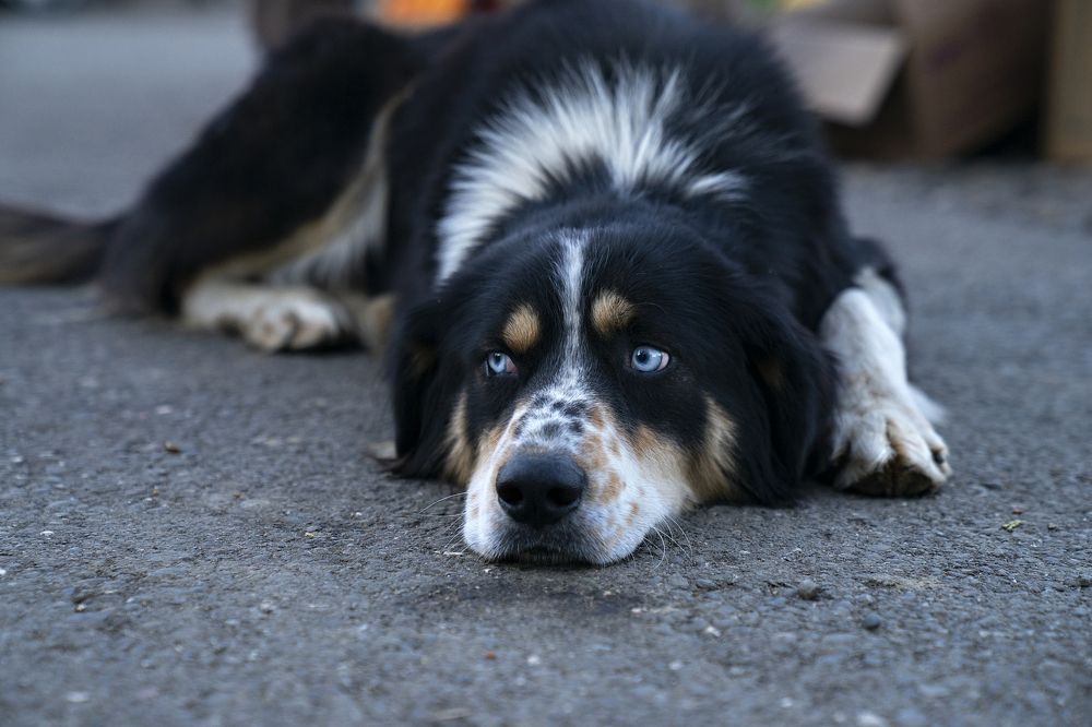 Photograph by Ксения Щербакова