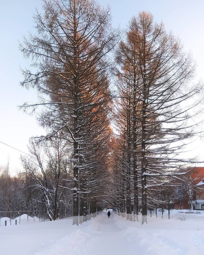 Зимний вальс