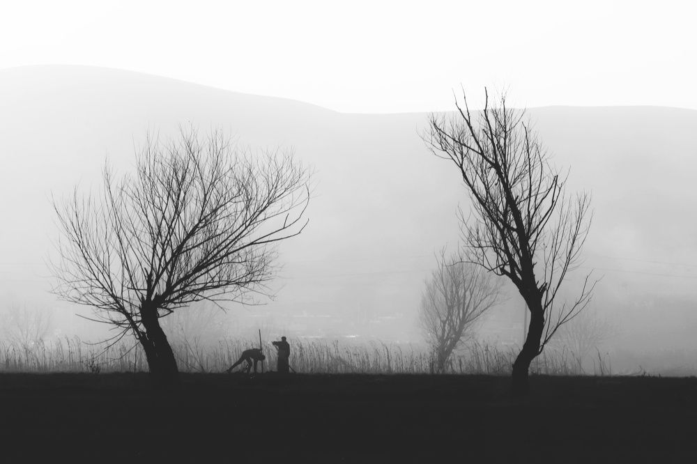 Photograph by Zahra Shahbazi
