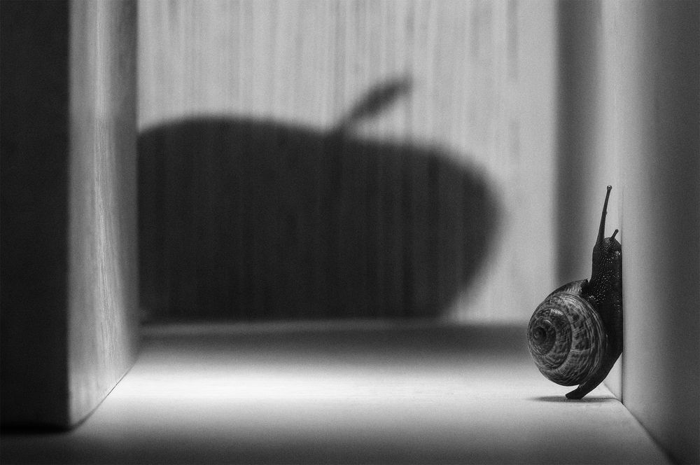 Фотография автора Кирилл Сизов