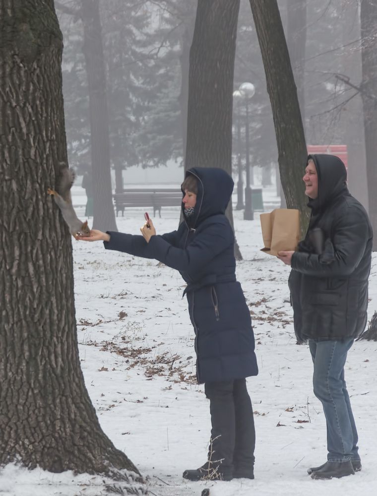 Photograph by Ирина Корпачева