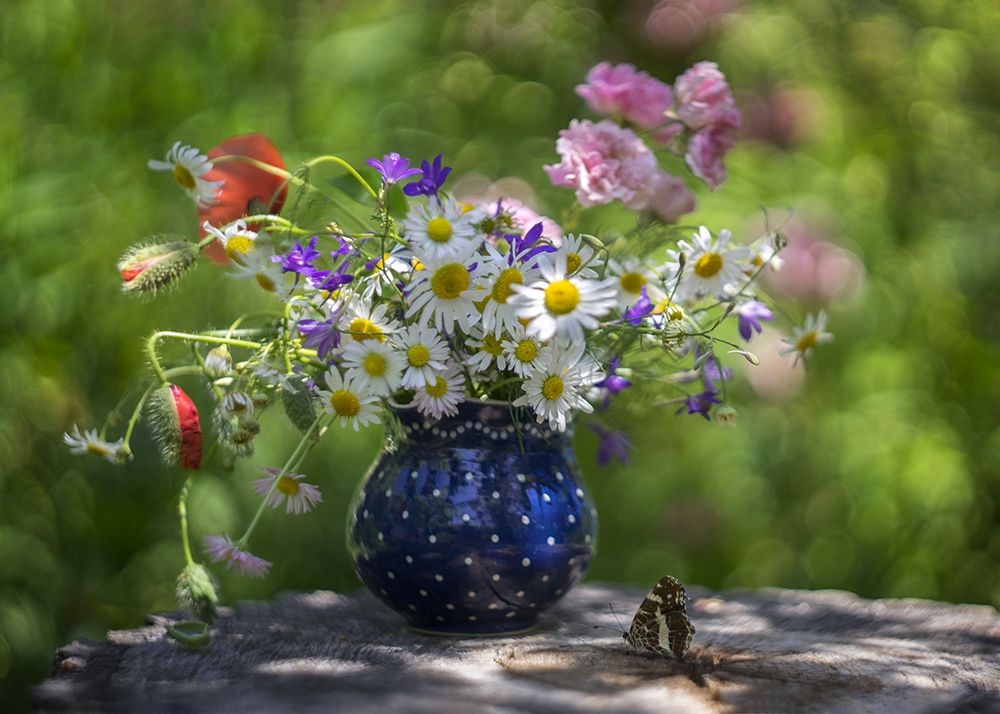 Photograph by Petya Radkova