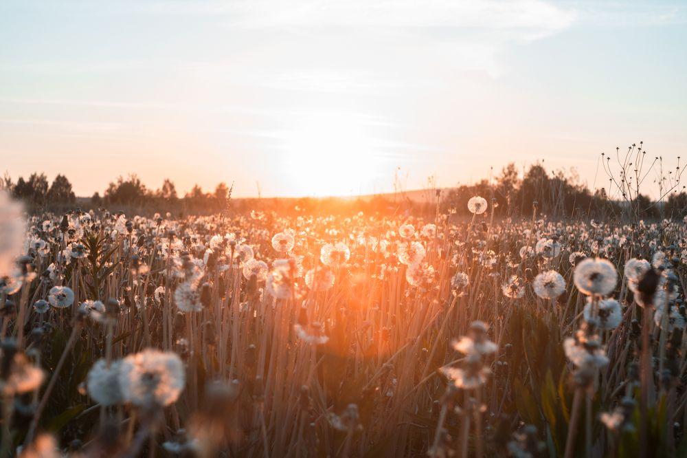 Photograph by Александр Нестеров
