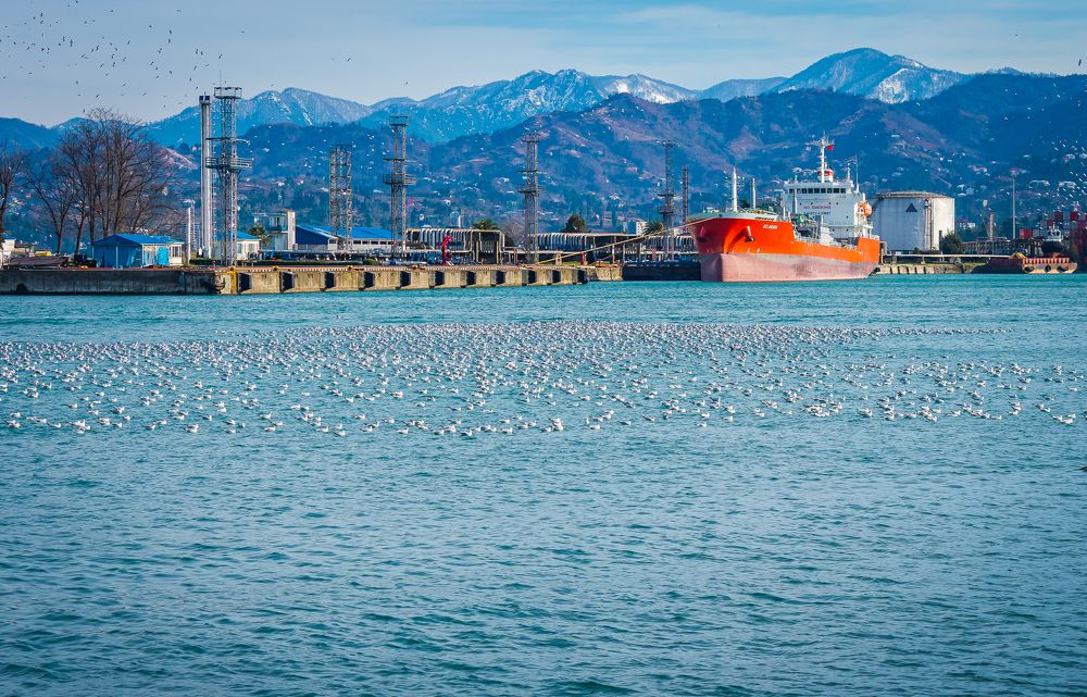 Photograph by Александр Антонов