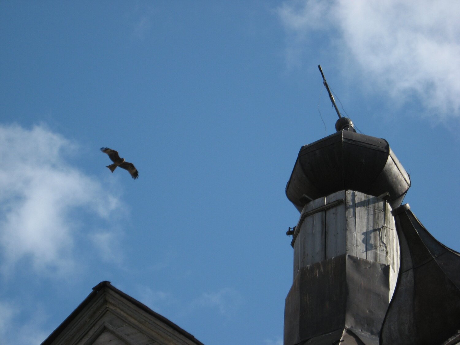 Photo #5898668
