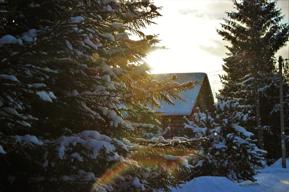 Photograph by Екатерина Апрелева