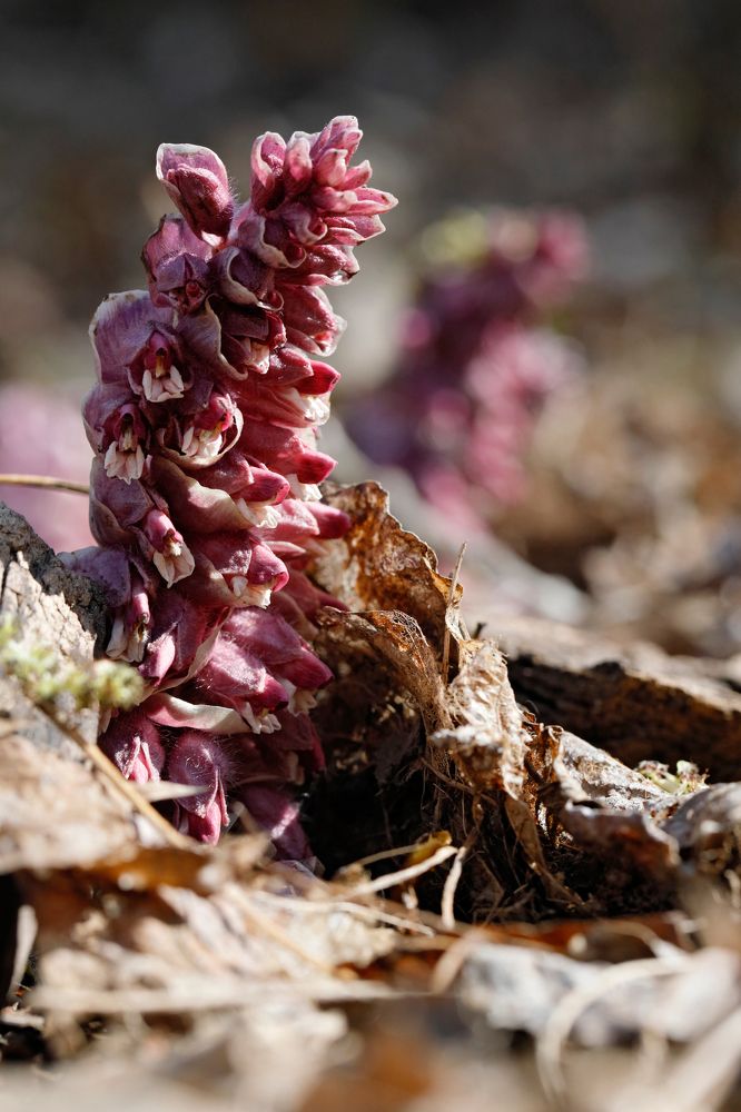Фотография автора Алексей Попов