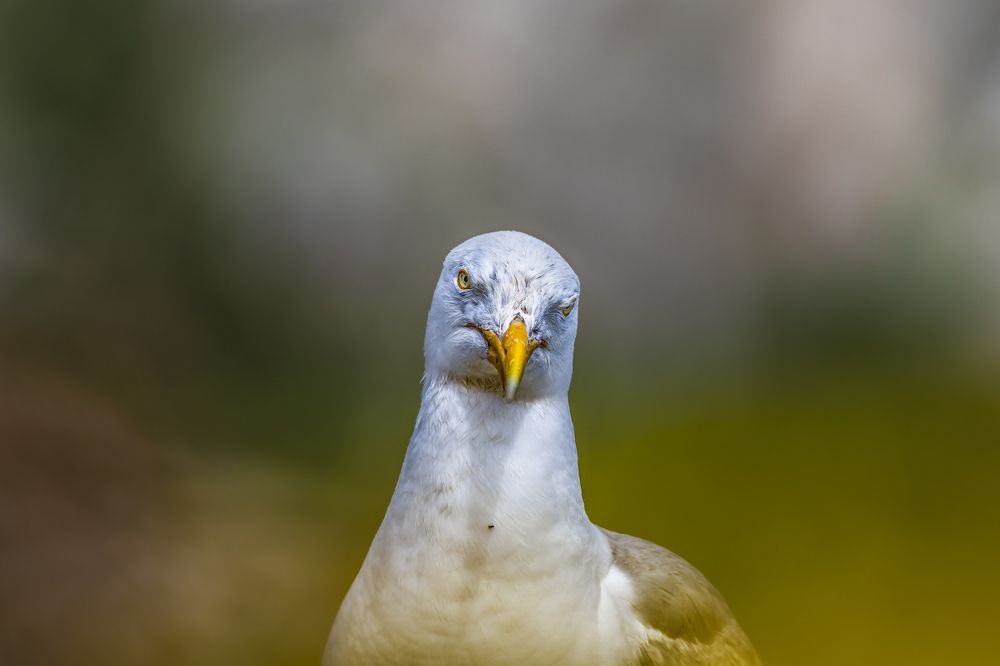 Photograph by Vitaliy Tuzov