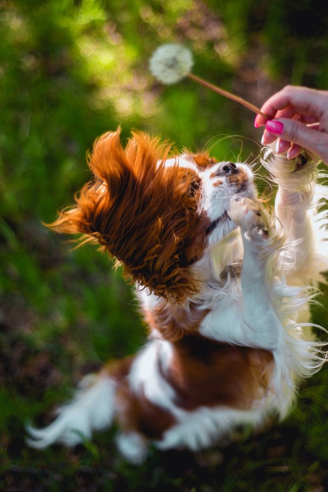 Photograph by Ольга Манёнок