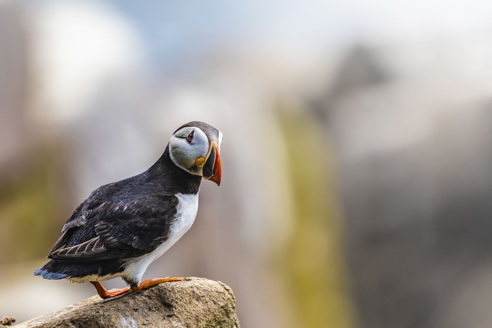 Photograph by Vitaliy Tuzov