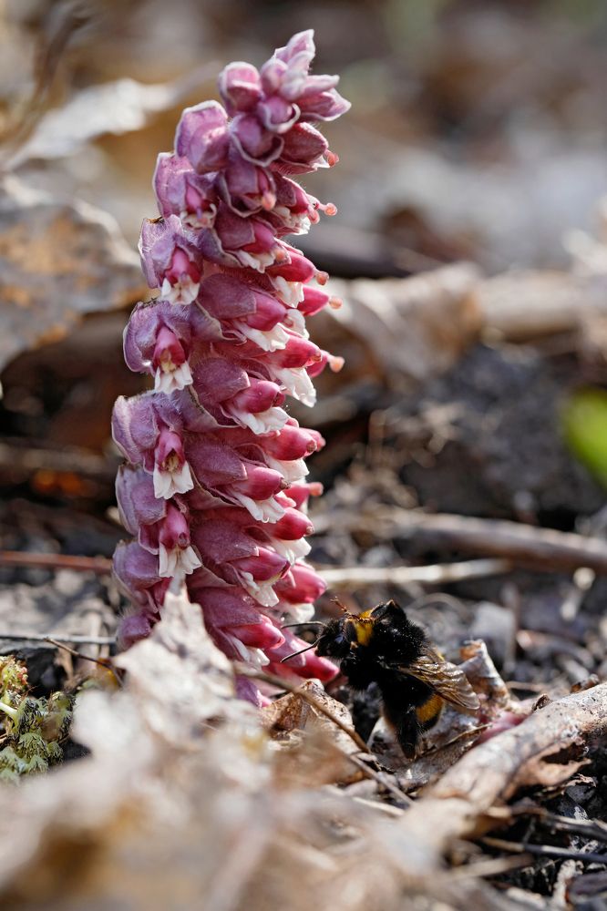 Фотография автора Алексей Попов