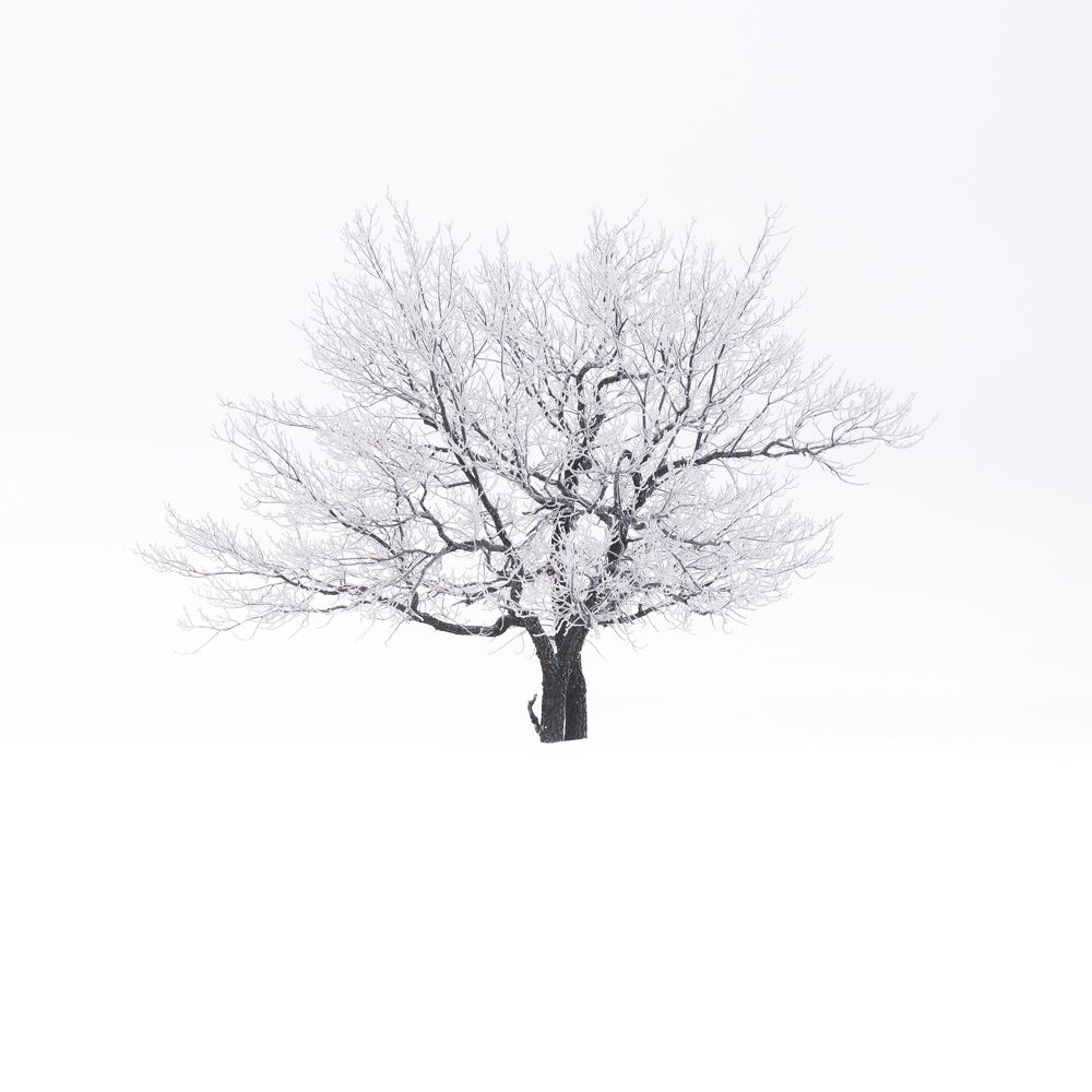 Фотография автора  Евгений