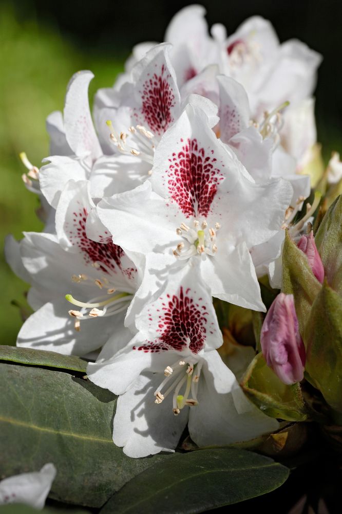 Фотография автора Алексей Попов