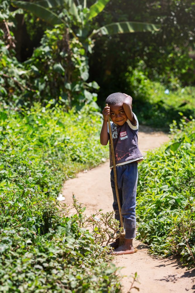 Фотография автора Елена Баврина