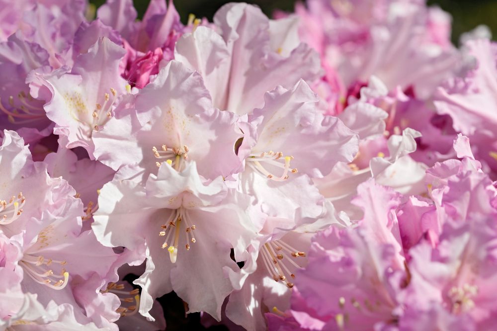Фотография автора Алексей Попов