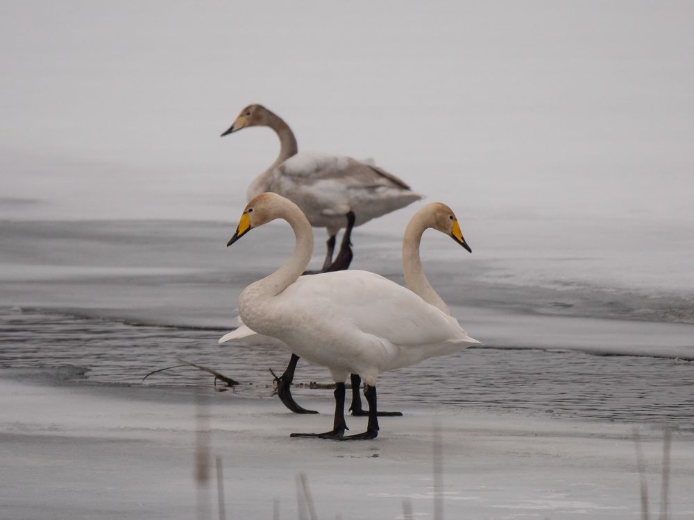 Photo #5898867