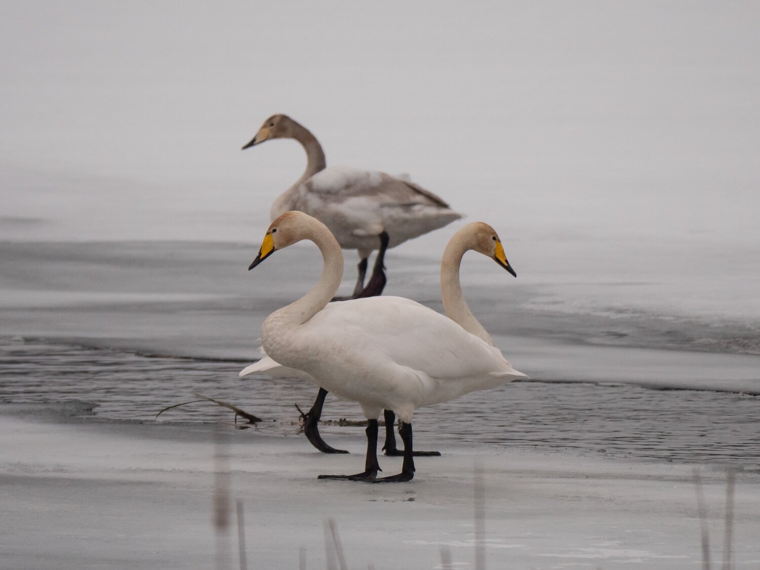 Photo #5898867