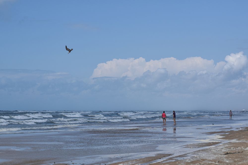 Photograph by Александр Тарасов