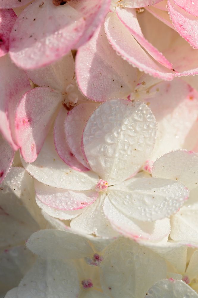 Фотография автора Алексей Попов