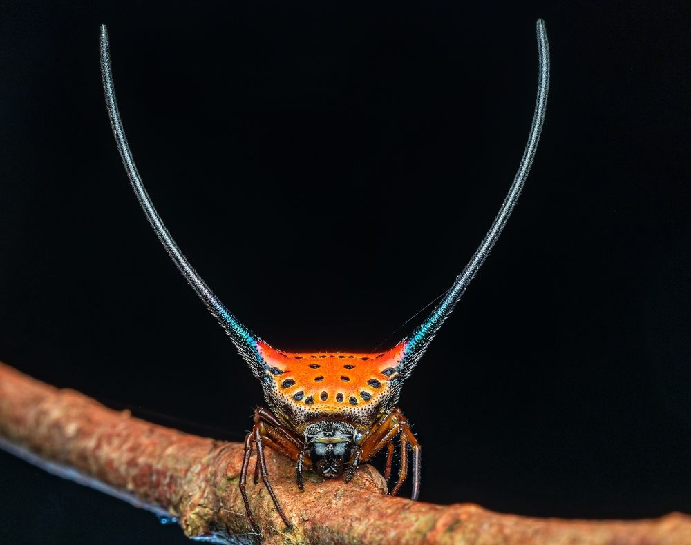 Photograph by Madhan Kumar Balaguru